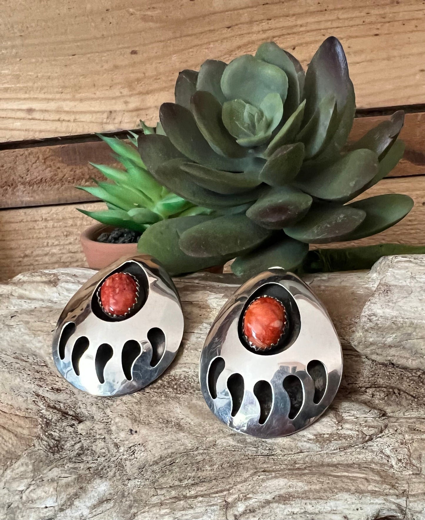 Large Bear Claw Spiny Oyster Earrings